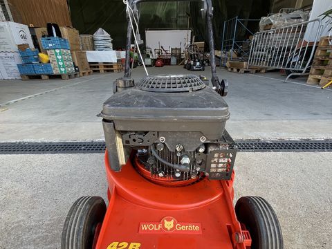 Wolf TB42SB grasmaaier zonder bak