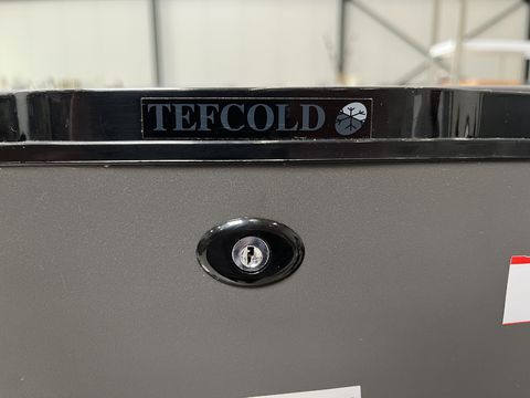 Compacte koelkast Tefcold