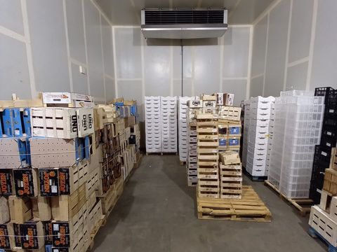 21 pallets verpakkingen/plastic kistjes