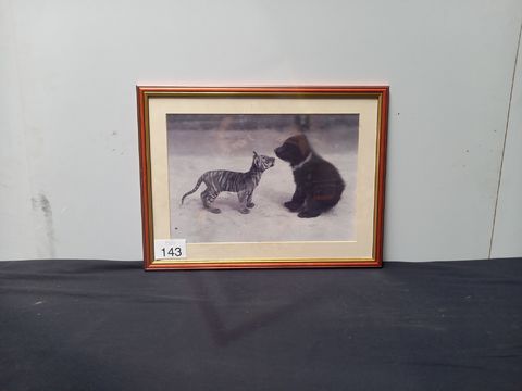 Foto tijger en beer, april 1914  Zoological Society of London