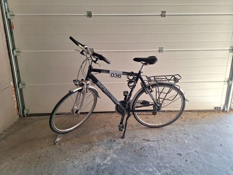 Herenfiets "Thompson"
