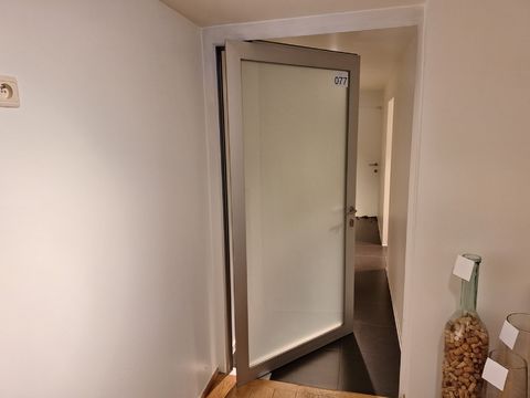 Porte en verre dépoli avec poignée et serrure en métal