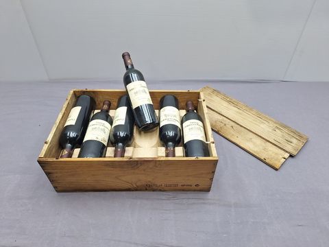 12 flessen Château Cambon la Pelousse 2009