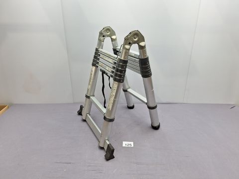 Telescopische ladder-lengte 1,9 m + 1,9 m