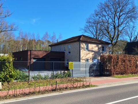 Riante villa te Lichtaart na faillissement! Op circa 14a, zonnepanelen, mooie tuin en op 400m van Bobbejaanland!