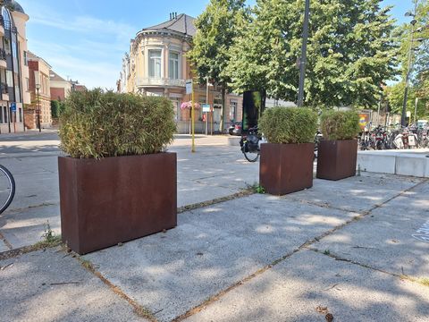 Cortenstalen Plantenbakken met Bamboe (5 stuks)